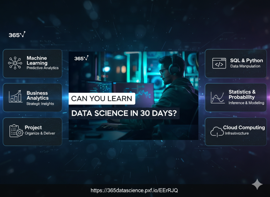365 Data Science Courses